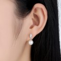 SCE006-(6).jpg