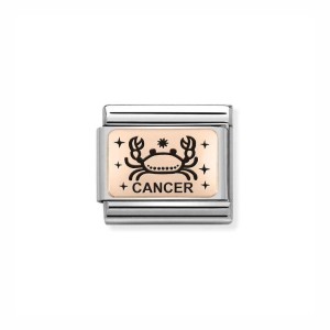Element Link Nomination Composable Rose Gold Rak 430112/04
