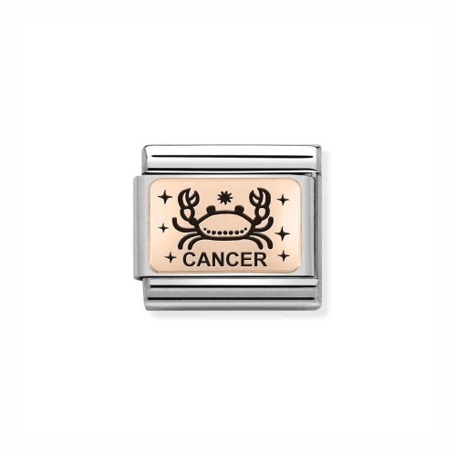 Element Link Nomination Composable Rose Gold Rak 430112/04